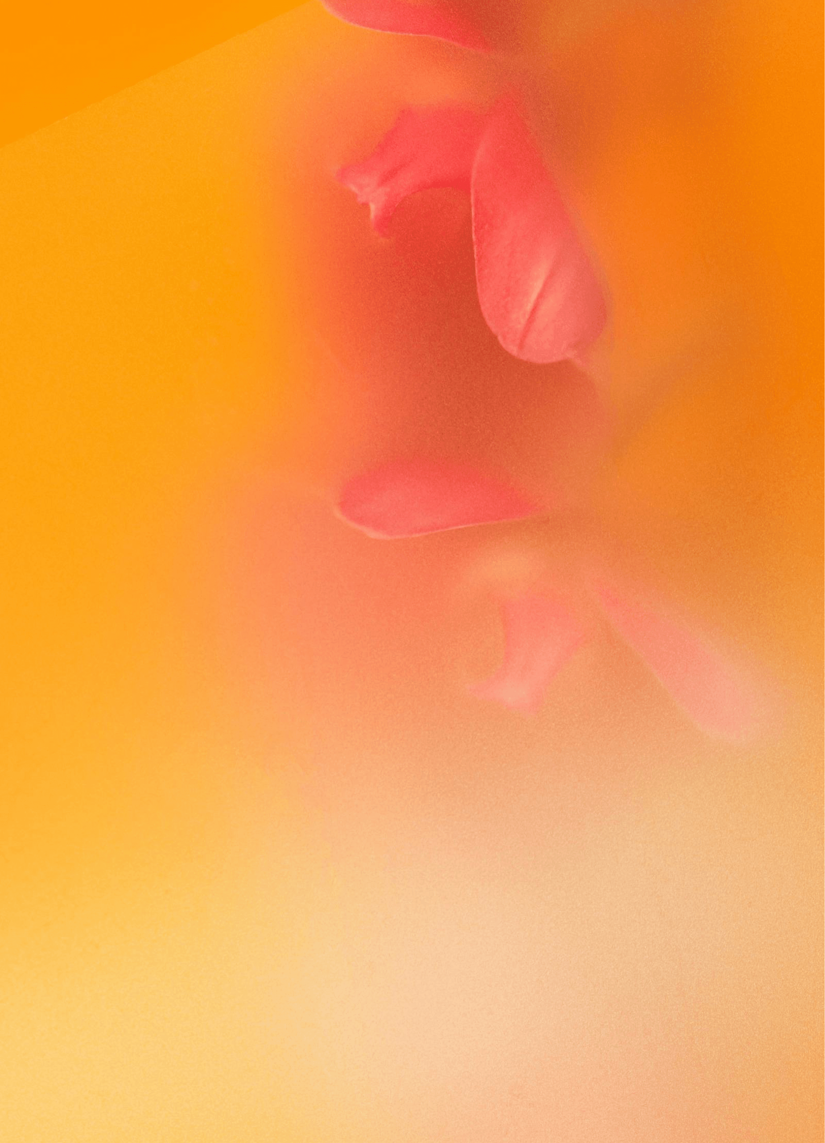 Abstract orange