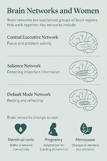 three brain networks