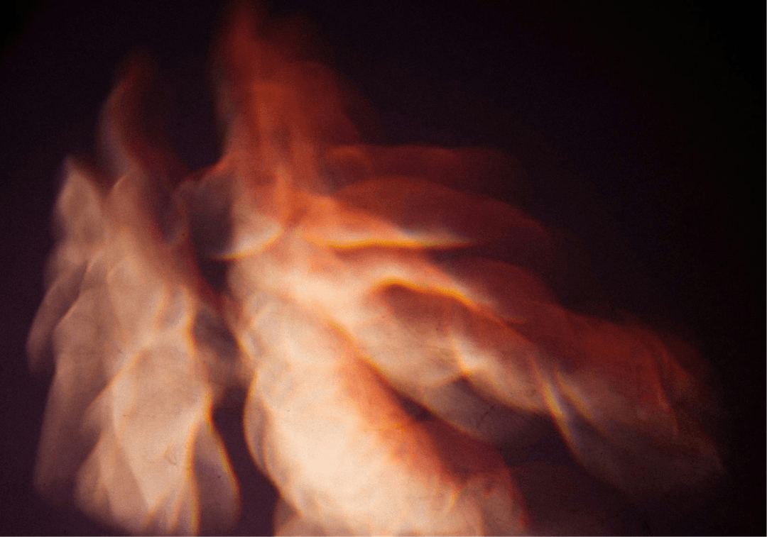 Abstract dark red reeds