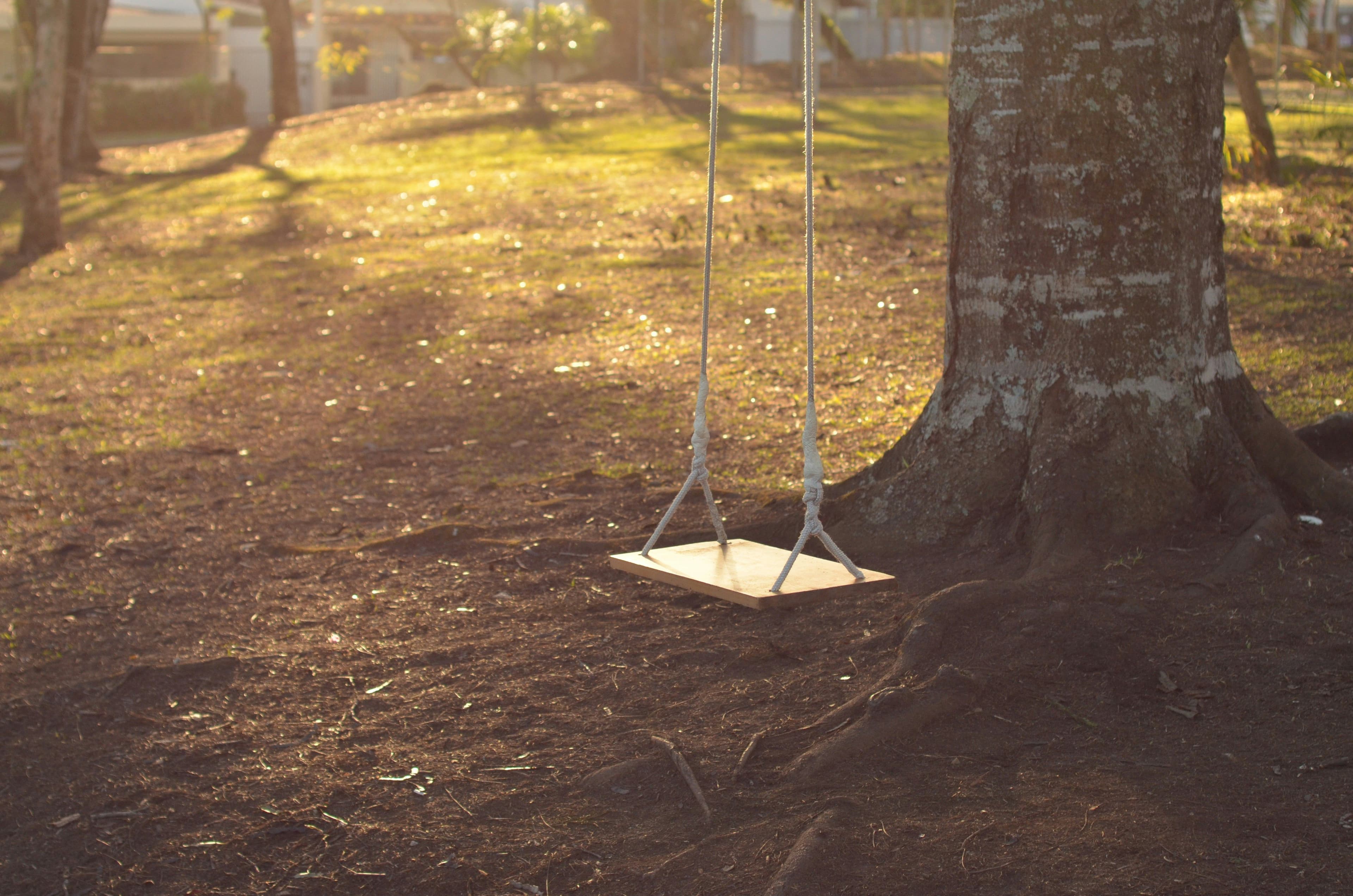 swings