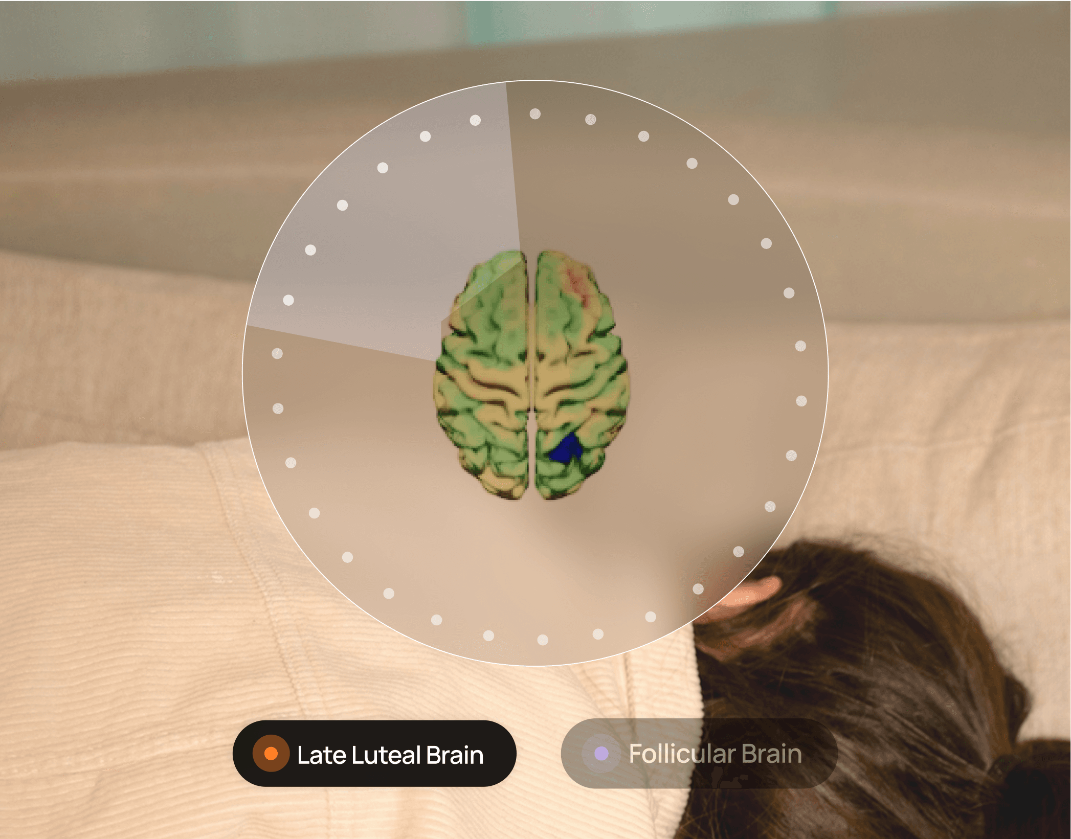 Neuroplasticity for menstrual health